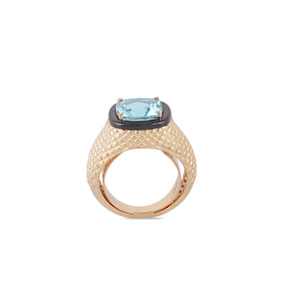 Aquamarine and Black Onyx Ring