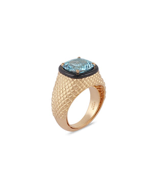 Aquamarine and Black Onyx Ring