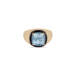Aquamarine and Black Onyx Ring